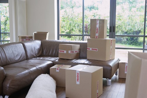 Professional movers carrying boxes during an urgent relocation